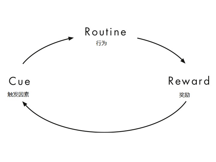 习惯机制示意图